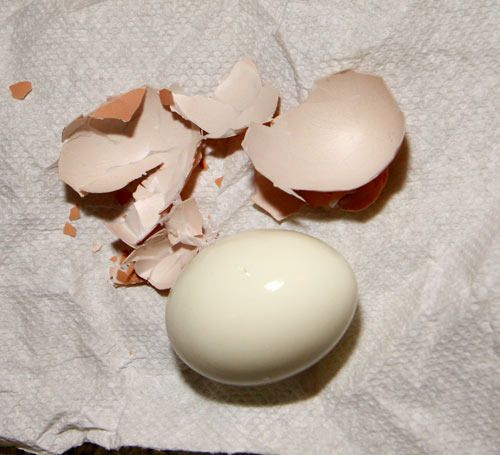 boiledegg.jpg