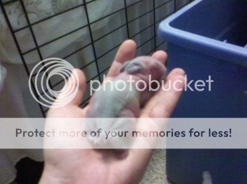 2011-07-09_09-57-41_0.jpg