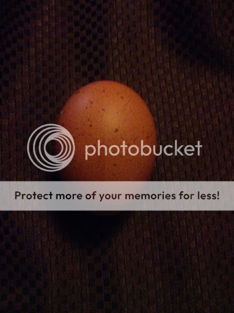 2011-03-03182439.jpg