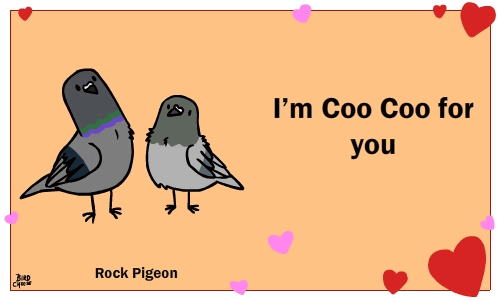 tumblr_nj3umrZpYp1u0n985o4_500.gif