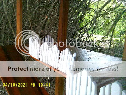 Cutefence.jpg