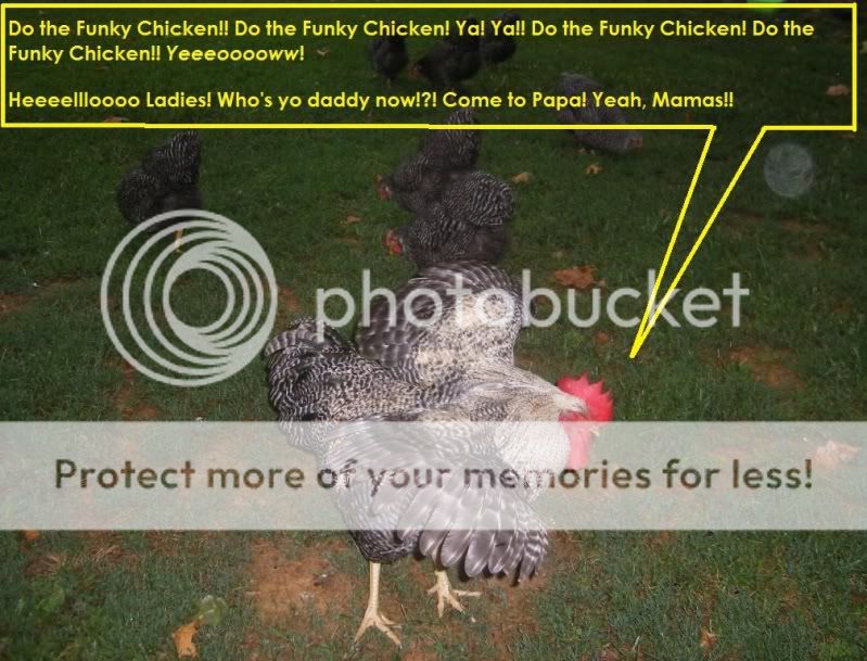 Georgedoingthefunkychickenwithcaption.jpg
