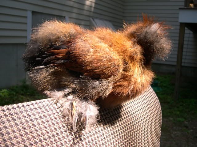 DSCN1675.jpg