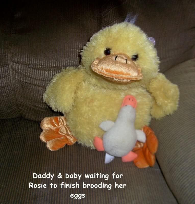 000_4120.jpg