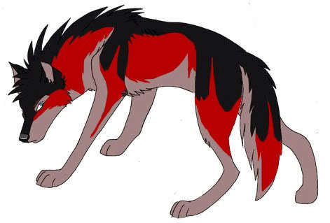 471x319px-LL-4aec52e3_AnimeWolf23.jpeg