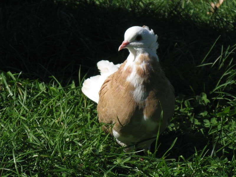 482903e5.jpg