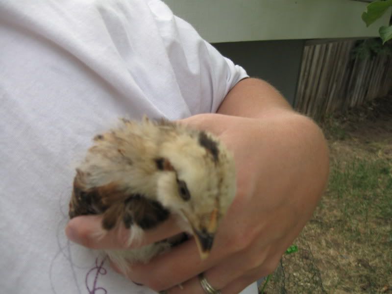 July12th2011010.jpg