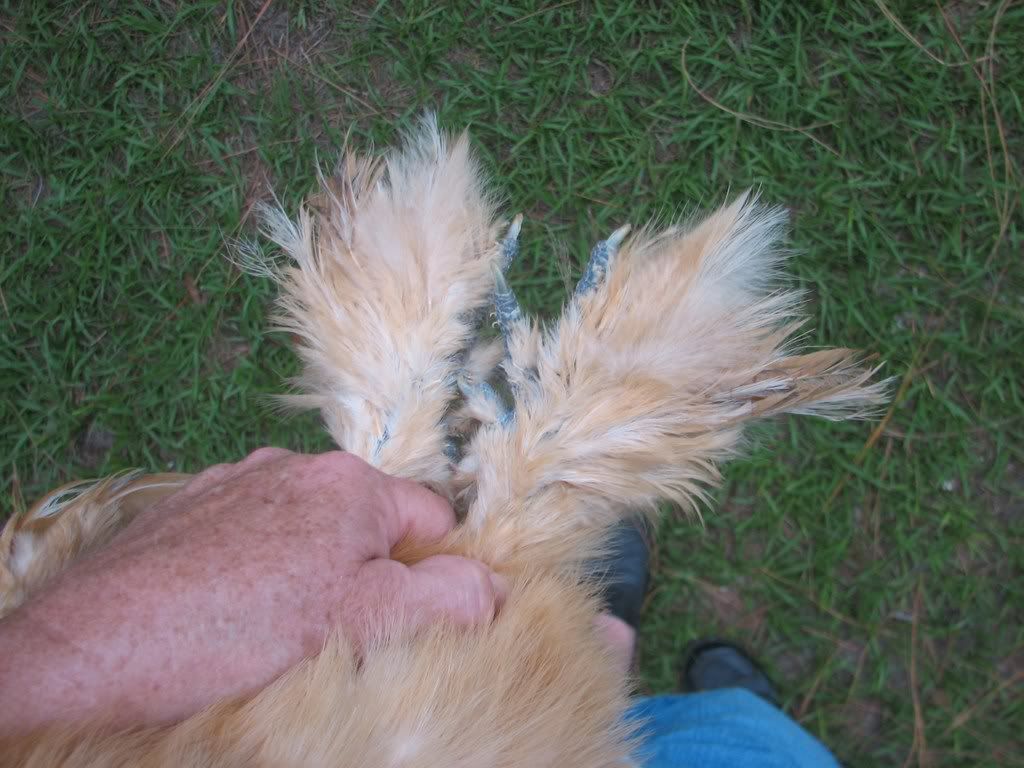 IMG_4826.jpg