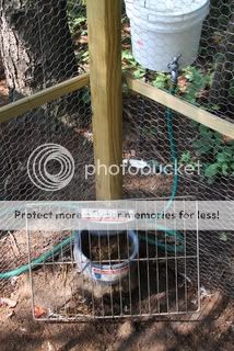 waterer5.jpg