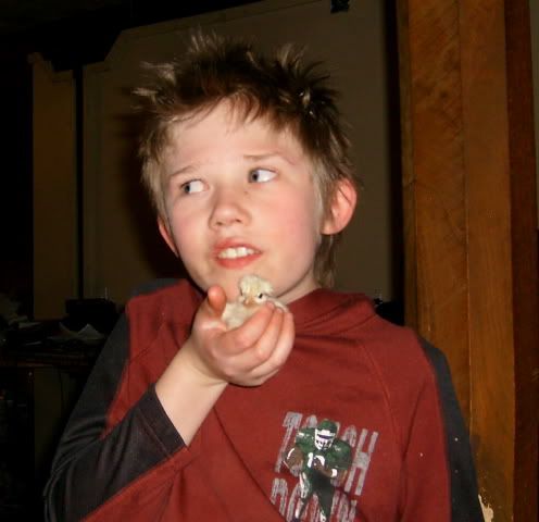 greeneggerNNchickfromDipsiesegg014.jpg