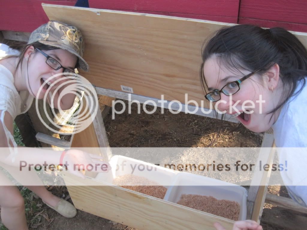 nestingbox1164.jpg