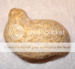 chickpeanut4.jpg
