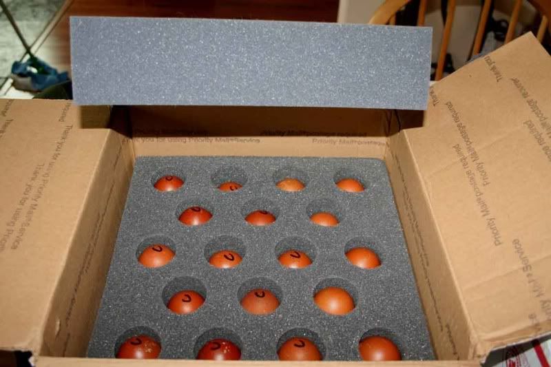 Creeeggs2.jpg