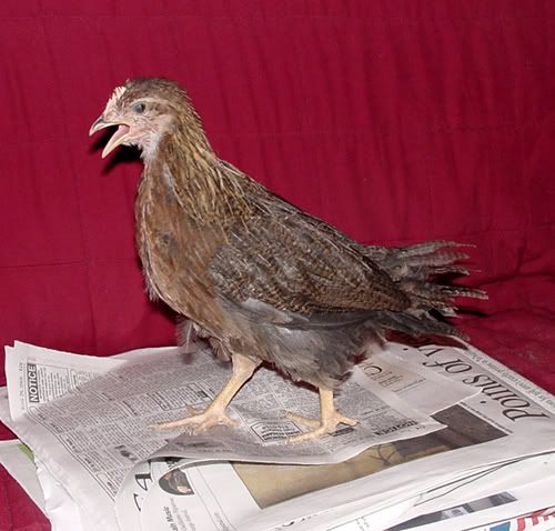 Martha1.jpg