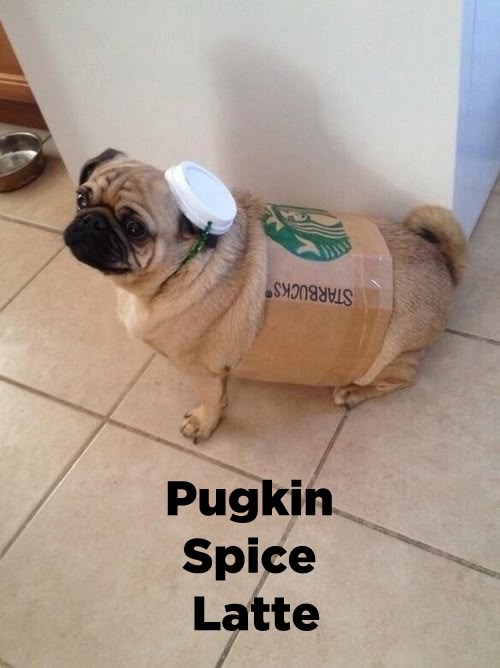 f23d4bdf3c9ad13677270f1326237bfc.jpg