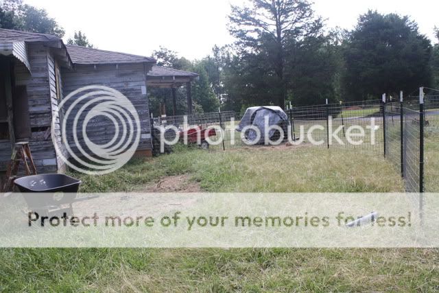 duckhouse006.jpg