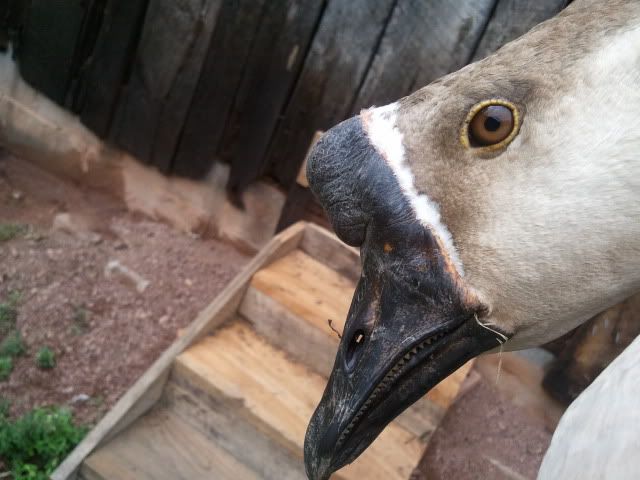 2011-09-09151045.jpg