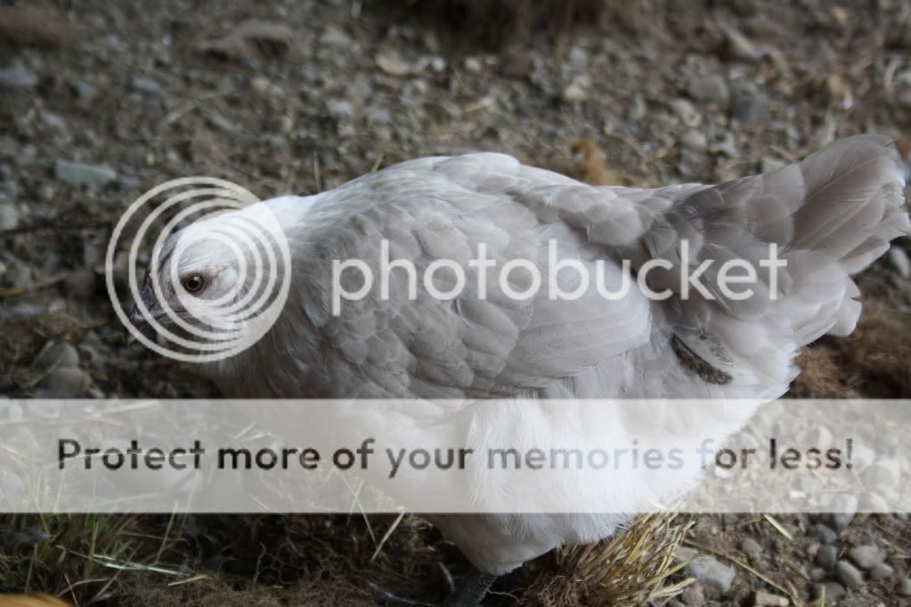 october2010623.jpg