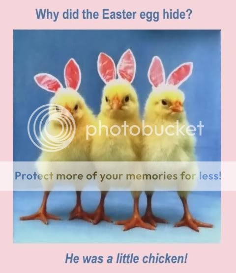 chicks.jpg