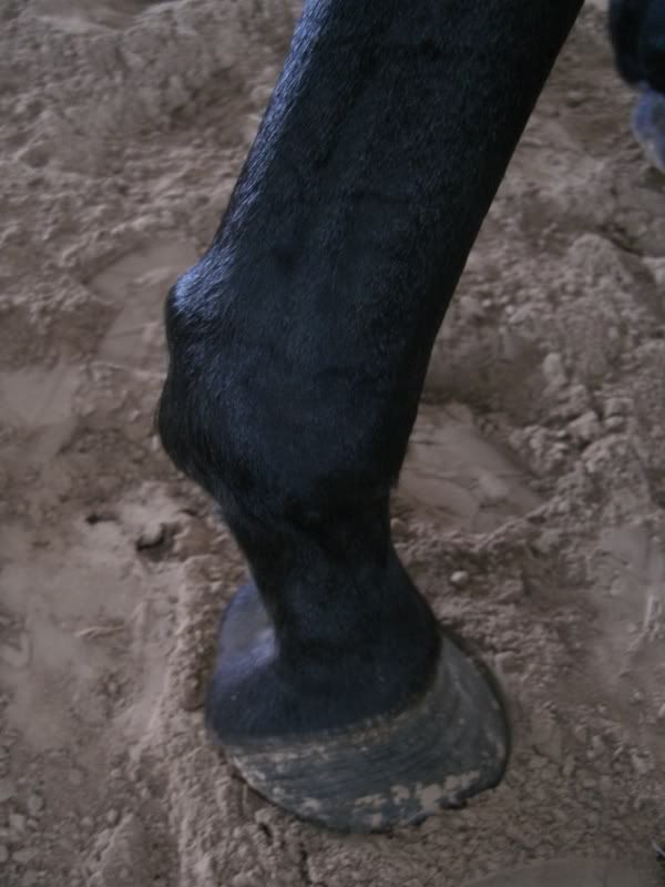 CIMG6375.jpg