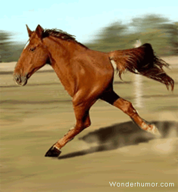 fcd5cf0a7e123f3ee76f82cf7a4313b0.gif