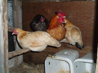 P4120887.JPG