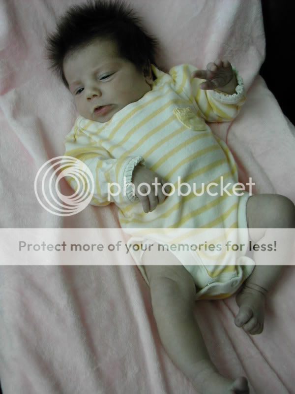 DSCN5562.jpg