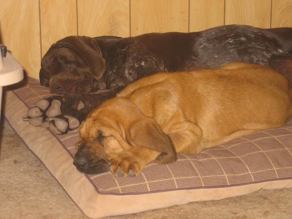 Photos047.jpg