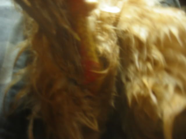 100_0023.jpg