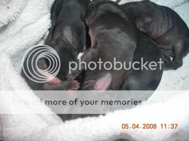 DSCN2805.jpg
