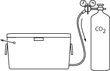 Carbon-dioxide chamber