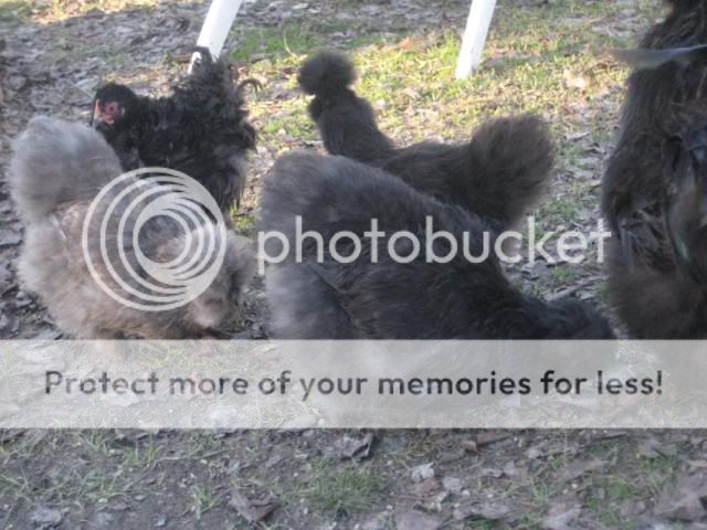 IMG_4210.jpg