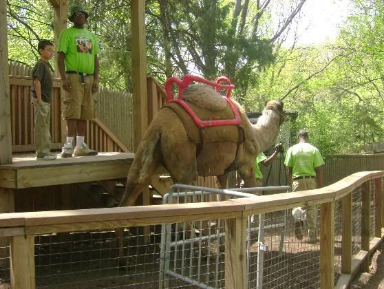 zoo25.jpg
