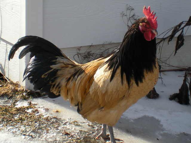 RSCN0040.jpg