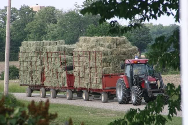 070611-hay.jpg