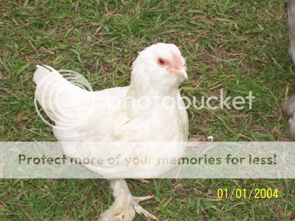 feb209053.jpg
