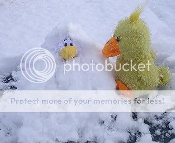 Snow.jpg