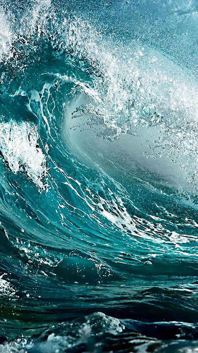 e6df0445046a36a9c14f5b6f862e935b.jpg