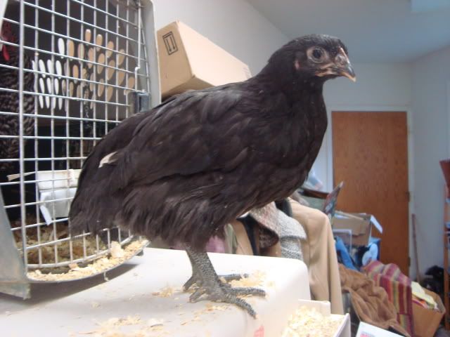 DSC02138.jpg