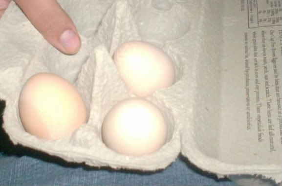FIRST3EGGS-1.jpg