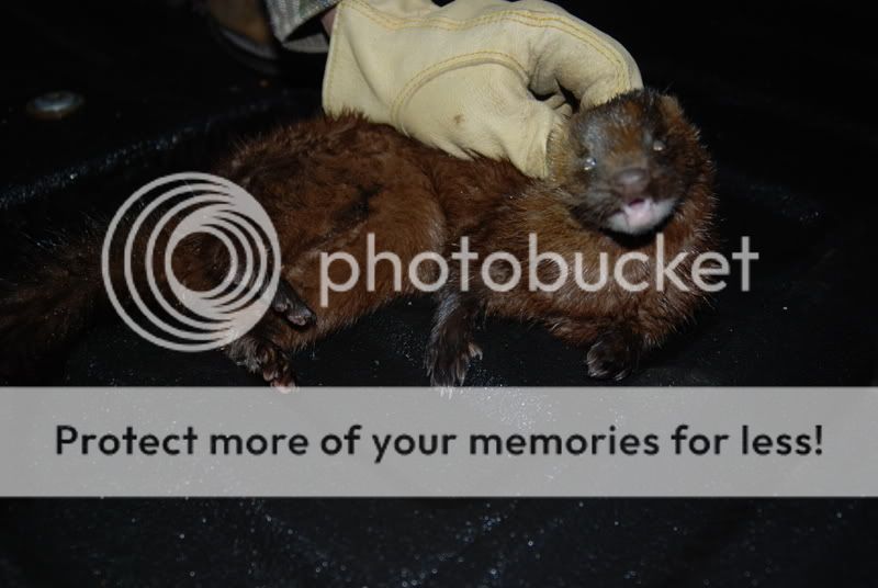 DSC_0311.jpg
