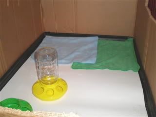 P1270024-1.jpg