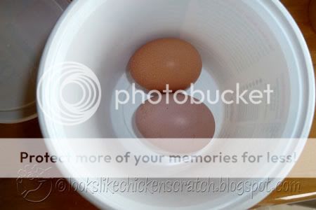 eggs1sm.jpg