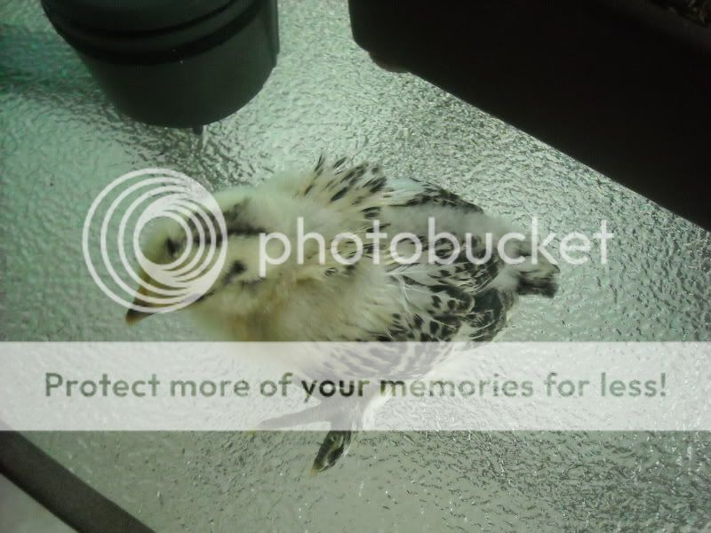 DSCN0180.jpg