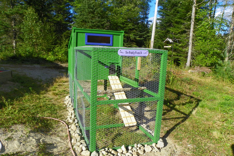 completed-banty-coop.jpg