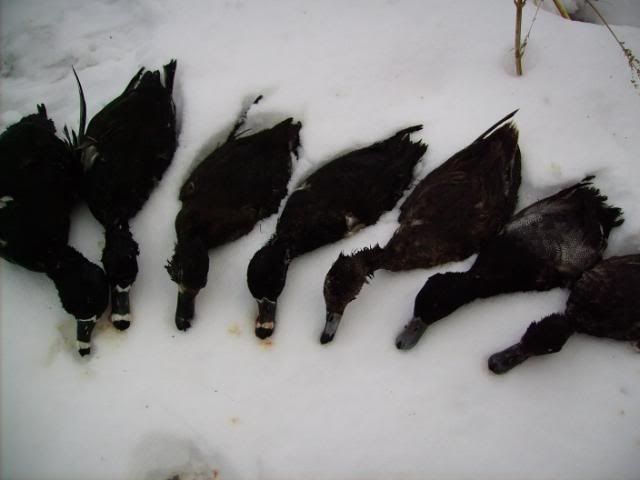 003-6.jpg