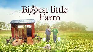 One City One Book: 'The Biggest Little Farm' with Director John ...