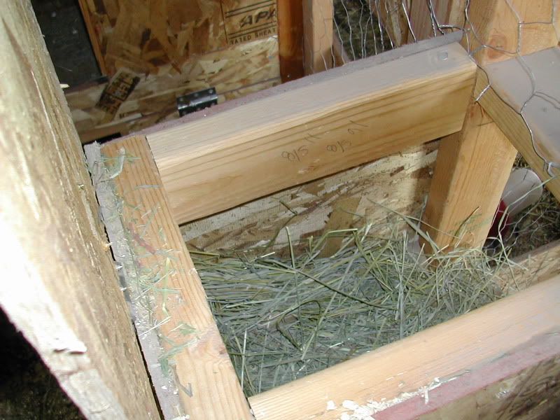 Nestbox.jpg