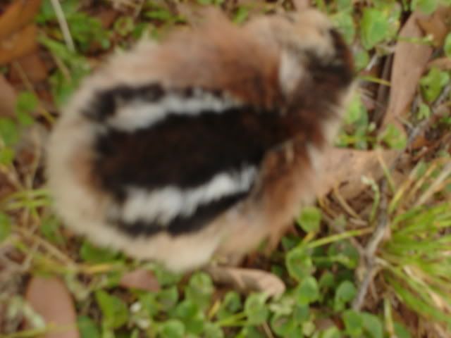DSC02861.jpg