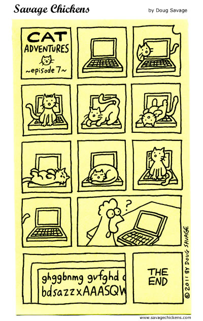 chickencatlaptop.jpg